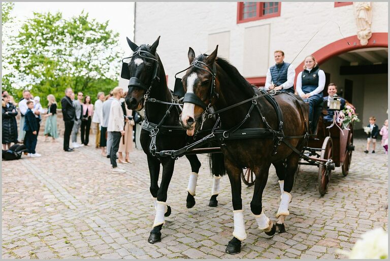 Kutsche mit dem Brautpaar verlässt die Schlosskirche in Bad Iburg ©Hochzeitsfotograf Bad Iburg